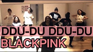 新曲  DDU-DU DDU-DU (뚜두뚜두) 上手すぎでしょ！ BLACKPINK ダンスレッスン GAZAで踊ってみた