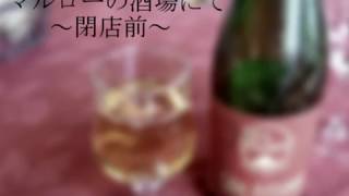 [オリジナル曲]ゆったりしたジャズを作ってみた[DTM]