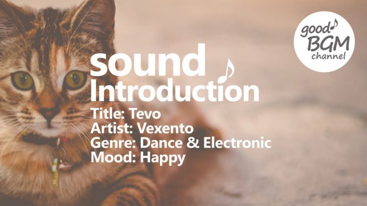 Dance & Electronic [No Copyright Music] Tevo – Vexento