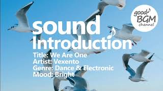 Dance & Electronic [No Copyright Music] We Are One – Vexento