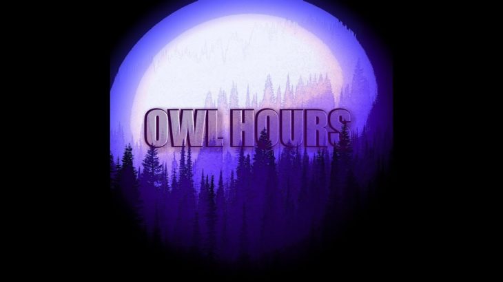 Drake Type Beat “Owl Hours” | Dark R&B / Rap Beat 2019
