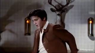 Elvis Presley / Mean Woman Blues　ミーン・ウーマン・ブルース / エルヴィス・プレスリー