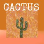 [FREE]몽환적인 Ab 비트 ▨ R&B & Soul ▨ Pop ▨ ZAJU ▨ “선인장(Cactus)”