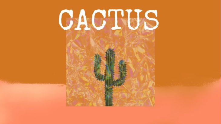 [FREE]몽환적인 Ab 비트 ▨ R&B & Soul ▨ Pop ▨ ZAJU ▨ “선인장(Cactus)”