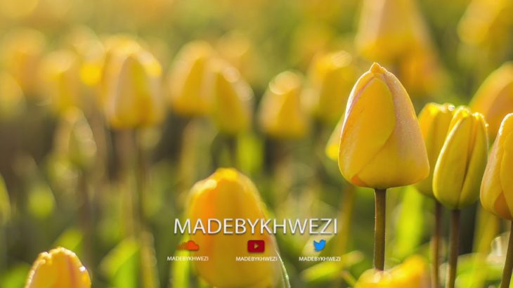 [FREE] “Tulip” ‘Modern R&B’  [Type Beat 2019]