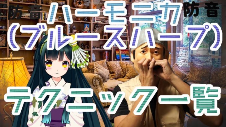 ハーモニカ（ブルースハープ）の全テクニック一覧を紹介。吹き方入門。 / Harmonica Techniques