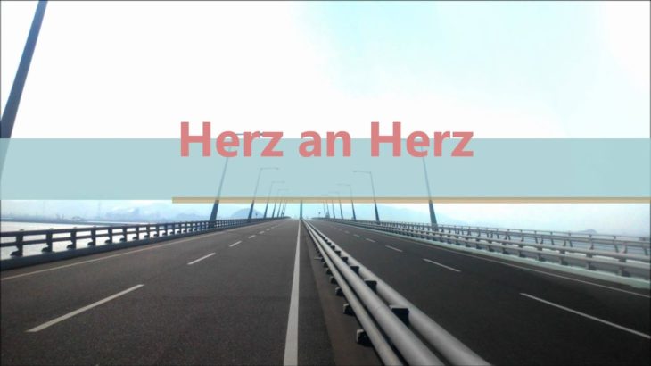 テクノトランス Herz an Herz 【Techno】