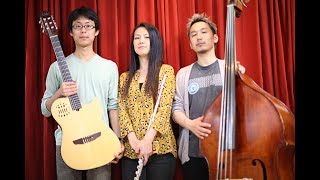 JAZZ TRIANGLE DGEST PV