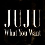 JUJU／What You Want（ドラマ「偽装の夫婦」主題歌）