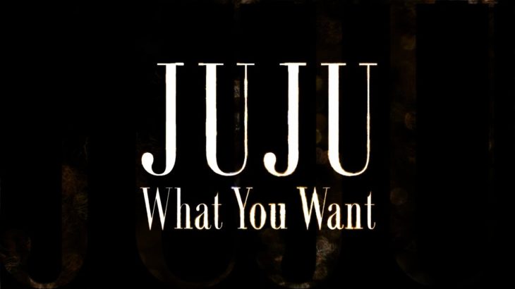 JUJU／What You Want（ドラマ「偽装の夫婦」主題歌）