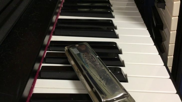 LEMON 米津玄師  bluesharp ブルースハープ(10ホールハーモニカ)