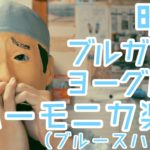 LV.2「明治ブルガリアヨーグルト」ＣＭ曲 ハーモニカ (ブルースハープ) / Harmonica