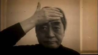 細野晴臣／悲しみのラッキースター 【MUSIC VIDEO】