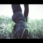 ONE OK ROCK – The Beginning [Official Music Video]