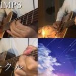 【ギター】RADWIMPS/スパークル 弾いてみた 【多重録音】-Sparkle Acoustic guitar cover