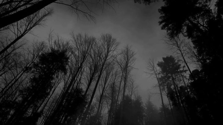 R&B, Joji, xxxtentacion  type beat- melancholy