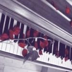 R&B Love Song Instrumental Beat – “My Inspiration”