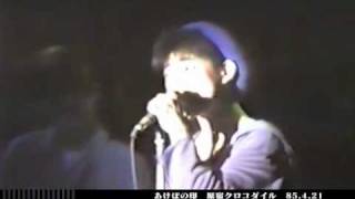STREET KINGDOM　東京ロッカーズと80’sインディーズシーン　PV
