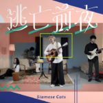 Siamese Cats – Escape Eve (Official Video) 2018　　シャムキャッツ – 逃亡前夜