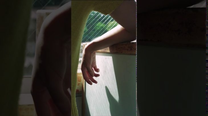 Siamese Cats – Travel Agency (Lyric Video)