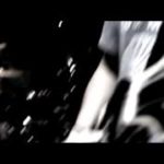 elephant – blood