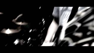 elephant – blood