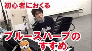 初心者におくるブルースハープの勧め