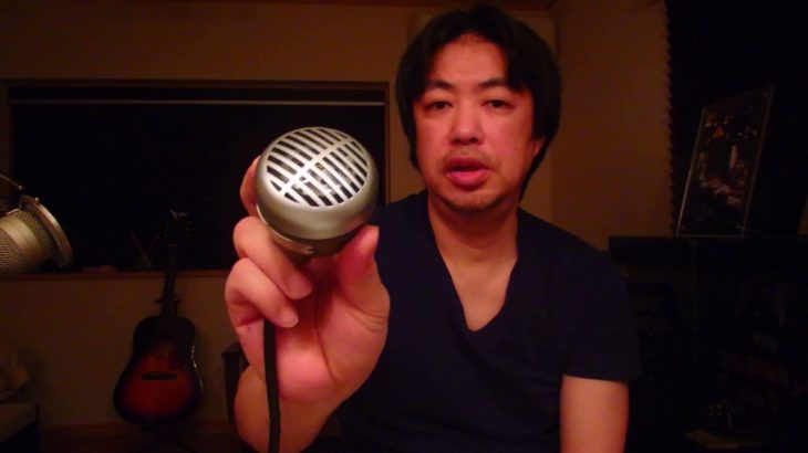 ザ・クロマニヨンズ”ペテン師ロック“　ブルースハープ 解説