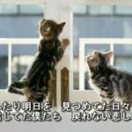 松原健之　　愛だの恋だの