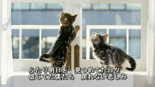 松原健之　　愛だの恋だの