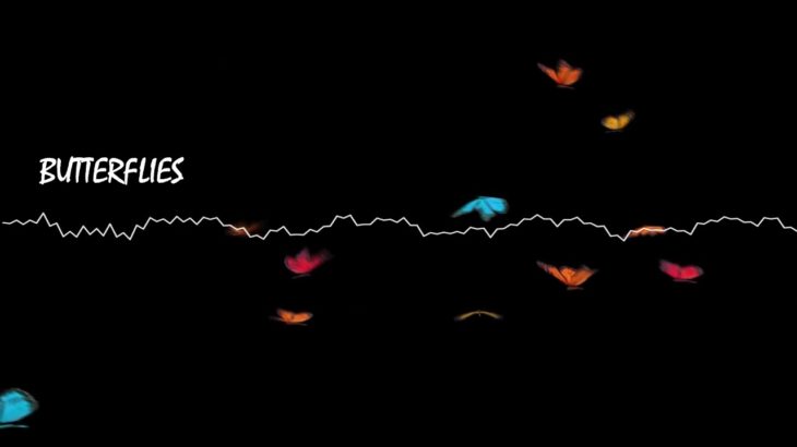 Butterflies – Emotional R&B Guitar Beat (Prod. Thomas Swanson) | SwanBeatz