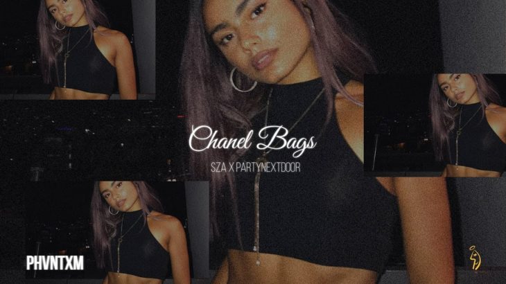 “Chanel Bags” // SZA x PARTYNEXTDOOR Type Beat 2019 | R&B Type Beat / R&B Instrumentals 2019