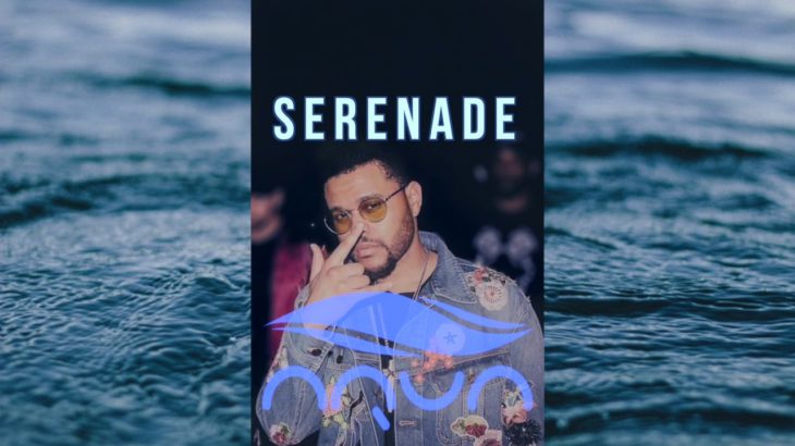 FREE R&B/TrapSoul Violin Beat – “Serenade”