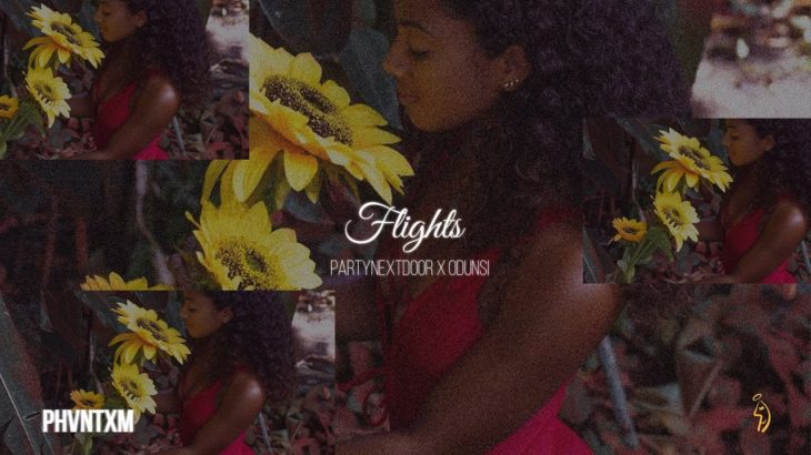 “Flights” // PARTYNEXTDOOR x Odunsi Type Beat 2019 | R&B Type Beat / R&B Instrumentals 2019