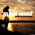 Instrumental | ‘Slow Wind’ HOT Afro R&B Summer Dance Hall Reggaeton Rap Type Hiphop Beat 2019