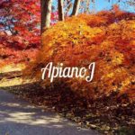 Instrumentals for study, workout, relaxation, freestyle, jazz, R&B “No. 7”