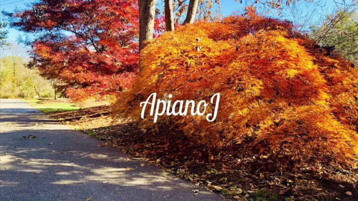 Instrumentals for study, workout, relaxation, freestyle, jazz, R&B “No. 7”