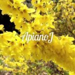 Instrumentals for study, workout, relaxation, freestyle, jazz, R&B “No. 9”