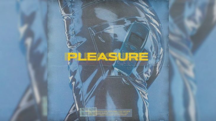 PLEASURE – R&B Trapsoul Neosoul Pop Rap Type beat
