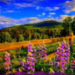SPRING *R&B|Trap Beat* (Prod. By Knuckles Da Ace)