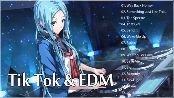 【TikTok】 よく使われる曲集 【 人気曲☆EDM R&B POP 洋楽 😍 K-POP 】 || Tik Tok & EDM Songs Remix 2019