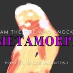 “metamorph” chill/R&B/rap Justin beiber type beat New 2019