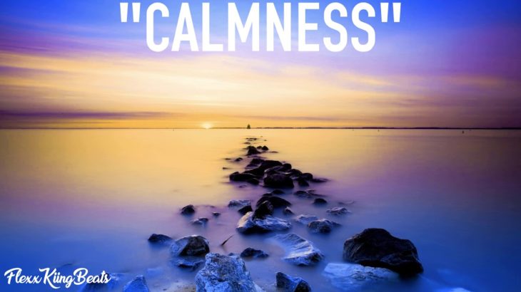 “Calmness” Flute Chill Type Beat | R&B Instrumental