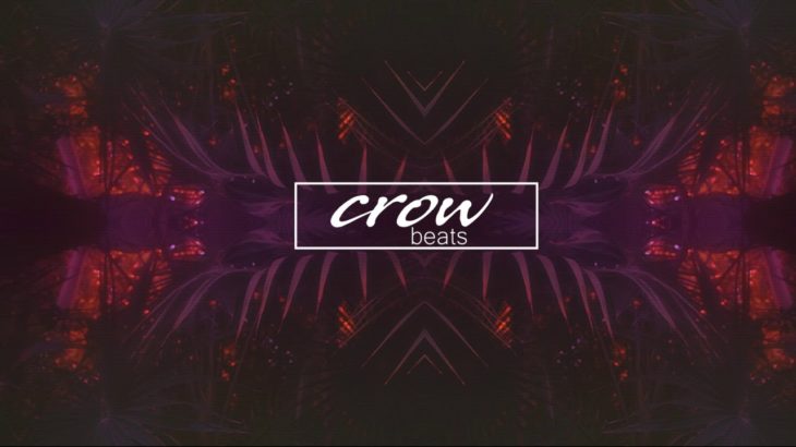 Dan Venturi – R&B Type Beat (Crow Beats)
