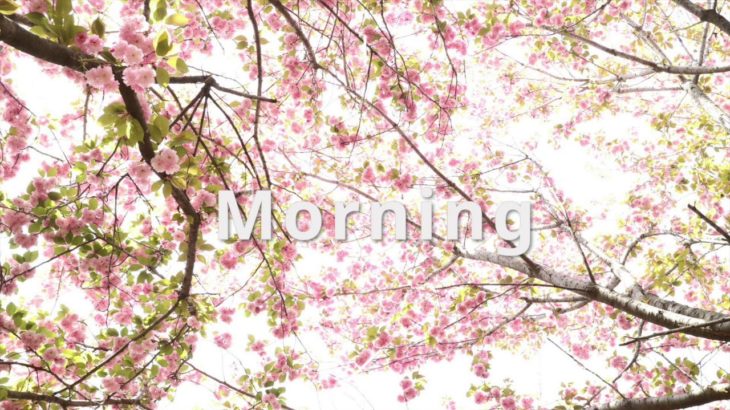 FREE Daniel Caesar x Bruno Major Type Beat “Morning” Chill Guitar R&B Instrumental | Prod. Malloc