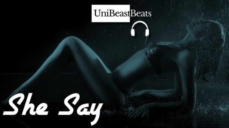 🎧FREE Mellow Ambient R&B/Pop Type Beat Instrumental 2019 “She Say” by @UniBeastBeats