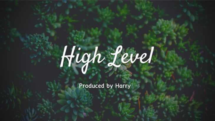 FREE R&B Type Beat “HIGH LEVEL” | HARRY | RNB Beat 2019 | Indian R&B Beat | R&B Instrumental 2019