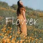 “Flower” Relaxed/Calm/Lo-Fi/Hiphop/R&B/instrumental(Prod.Chewiser)