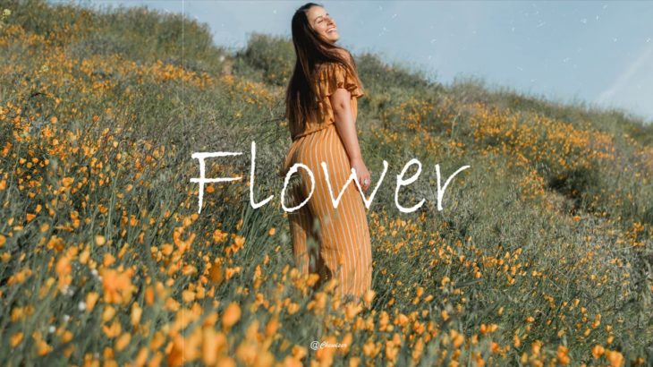 “Flower” Relaxed/Calm/Lo-Fi/Hiphop/R&B/instrumental(Prod.Chewiser)