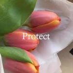 [Free] 심플하게 작업하기 좋은 비트 “Protect” / Simple Hip-Hop R&B Beat